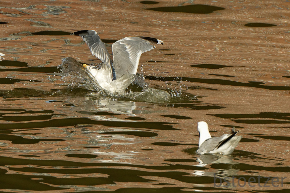 851 9094 DxO Web Schnitt 1713