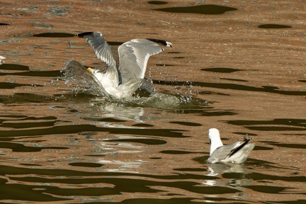 851 9094 DxO Web Schnitt 1713