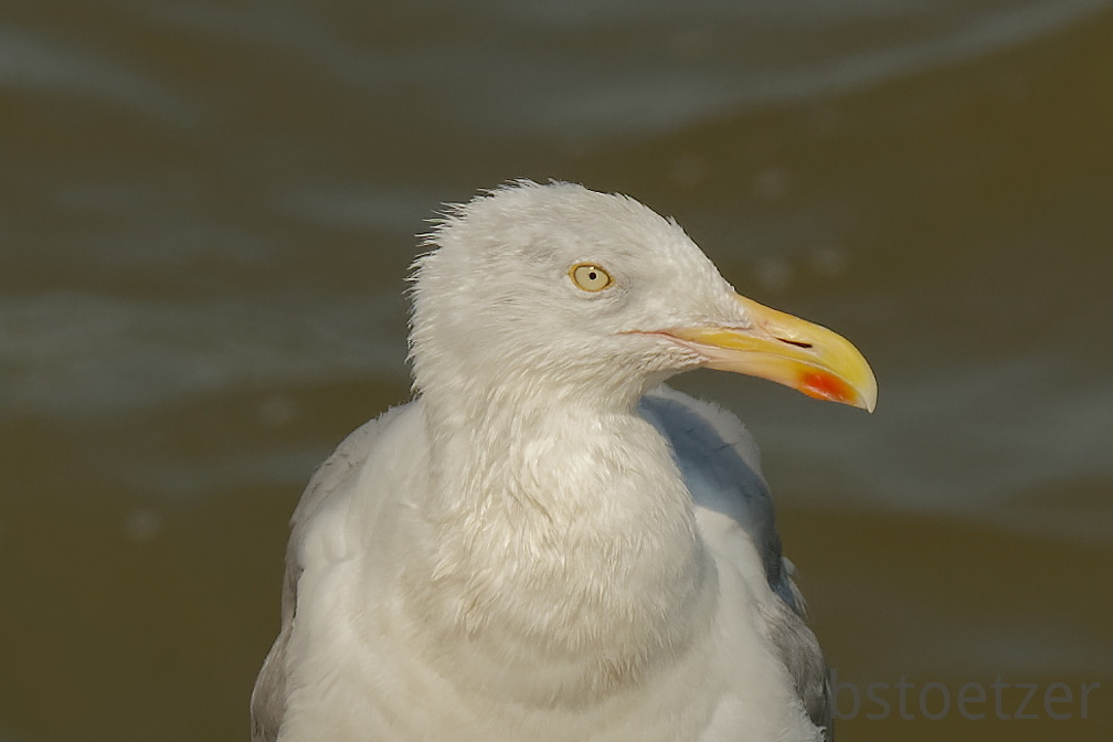 851 9144 DxO Web Schnitt