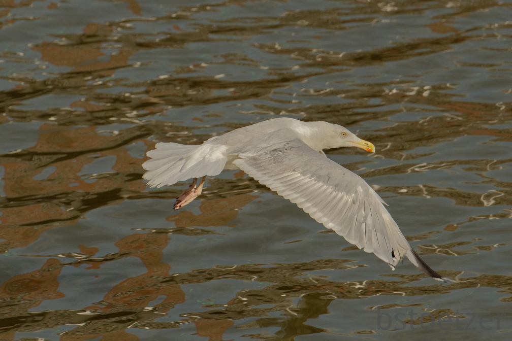 851 9100 DxO Web Schnitt 1749