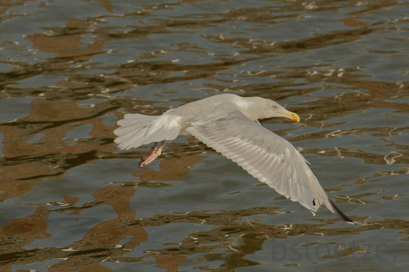 851 9100 DxO Web Schnitt 1749