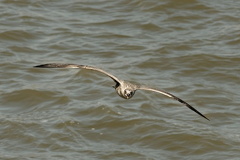 851 9155 DxO Web Schnitt 1708