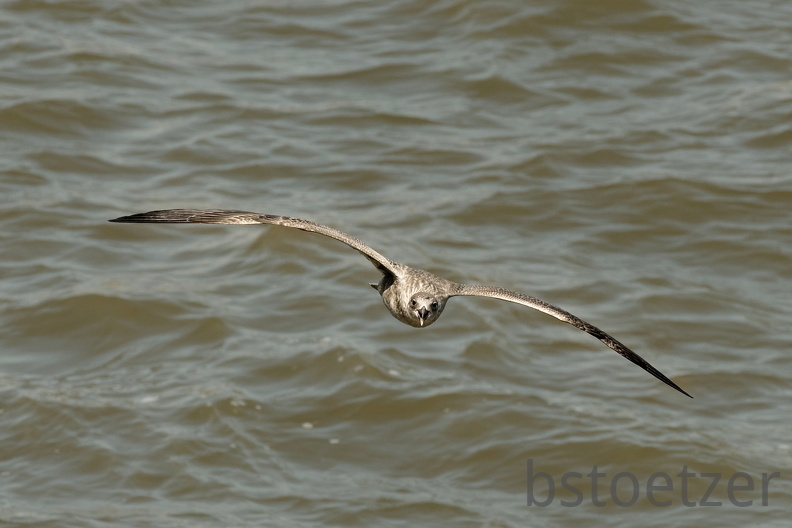 851 9155 DxO Web Schnitt 1708