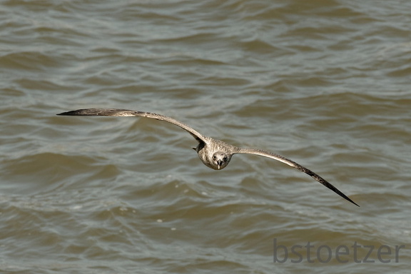 851 9155 DxO Web Schnitt 1708