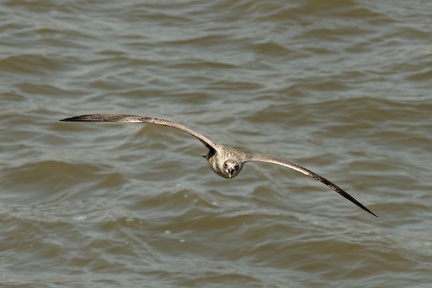 851 9155 DxO Web Schnitt 1708