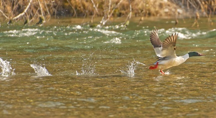 852 2012Cut final 1765