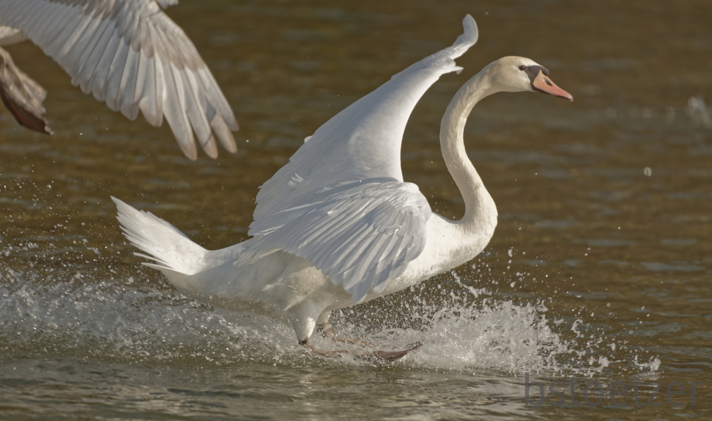 852 2021Cut final 1780