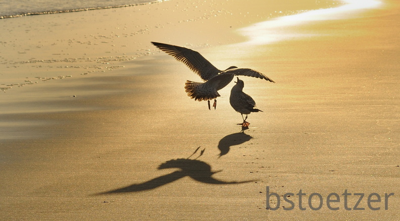 B04 2061 Schnitt 2 1676