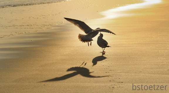 B04 2061 Schnitt 2 1676