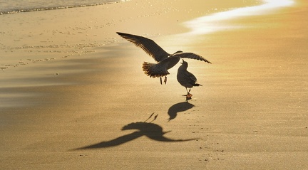 B04 2061 Schnitt 2 1676