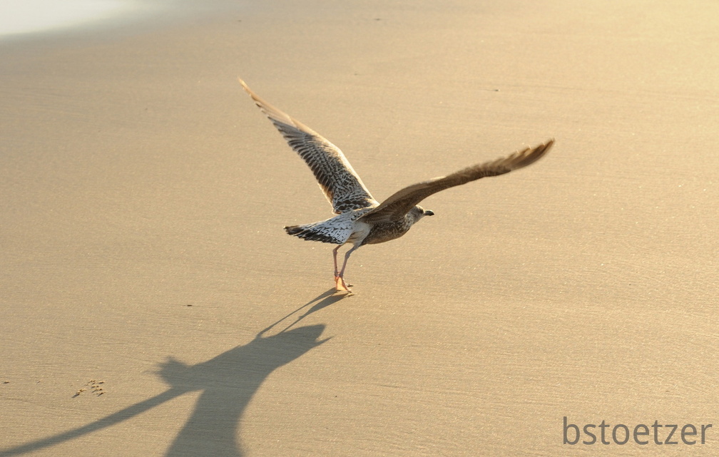 B04 2066 Schnitt 1737