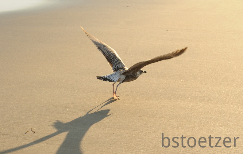 B04 2066 Schnitt 1737