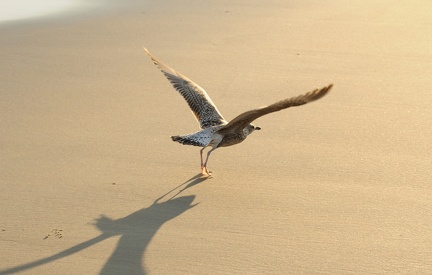 B04 2066 Schnitt 1737