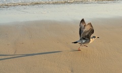 B04 2075 Schnitt 1730