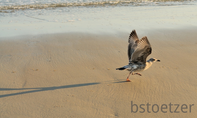 B04 2075 Schnitt 1730