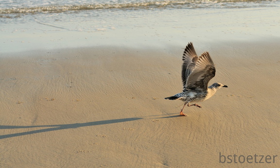 B04 2075 Schnitt 1730