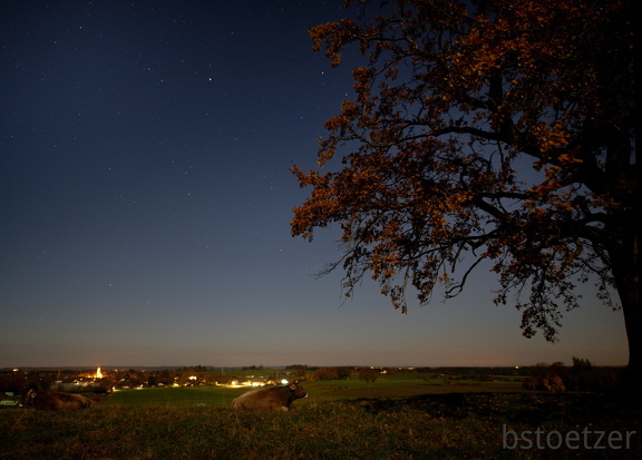 851 0543 DxO Web Schnitt-1 1339 1807