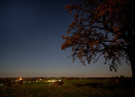 851 0543 DxO Web Schnitt-1 1339 1807