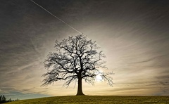 851 1678 DxO select 1806