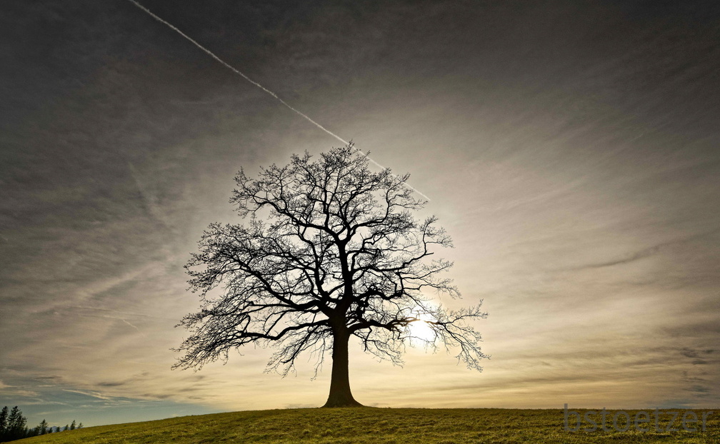 851 1678 DxO select 1806