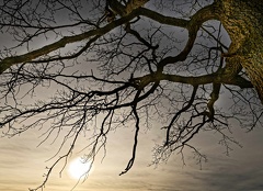 851 1692 DxO select 1805