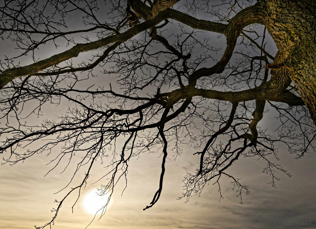 851 1692 DxO select 1805