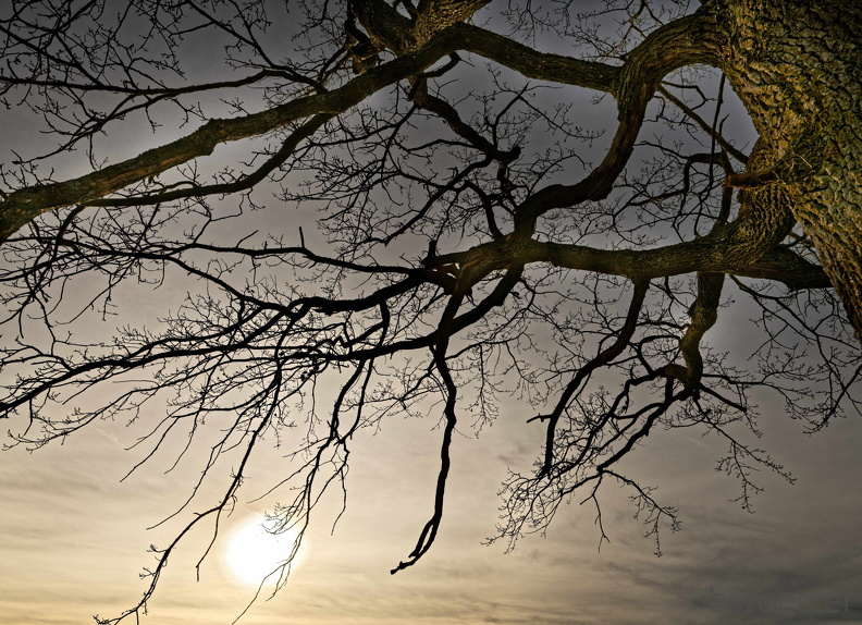 851 1692 DxO select 1805