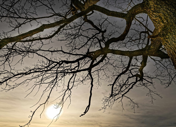 851 1692 DxO select 1805