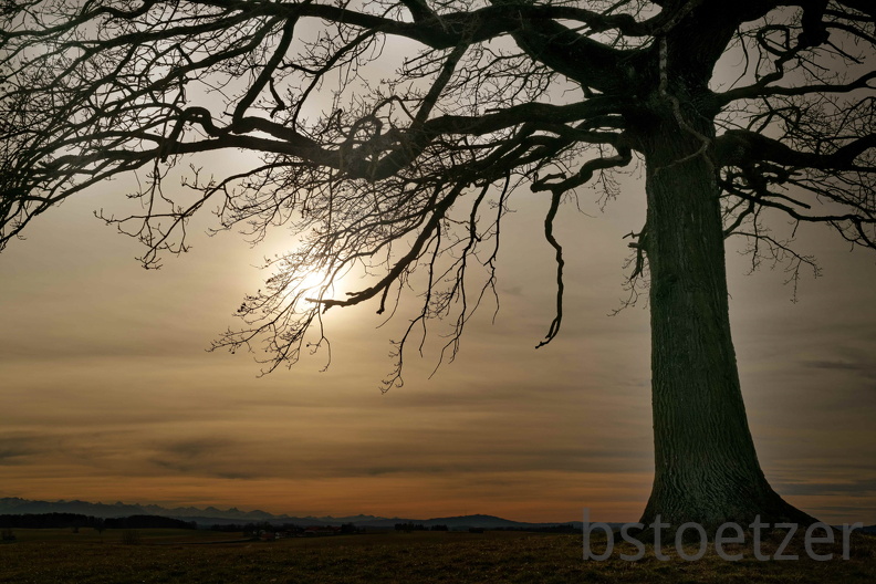 851 1706 DxO select 1803