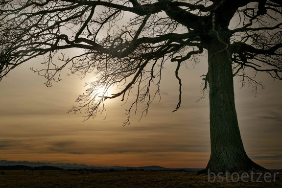 851 1706 DxO select 1803