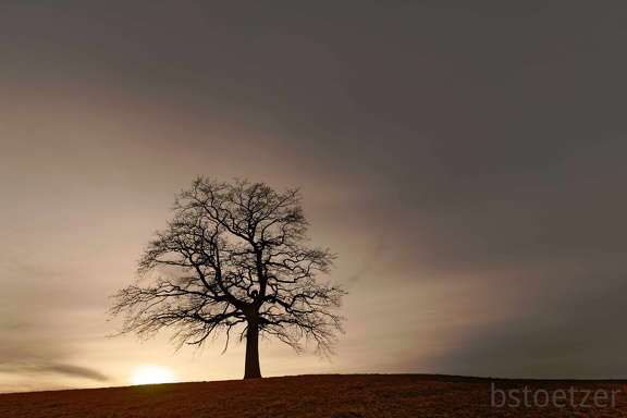 851 1780 DxO select 1802