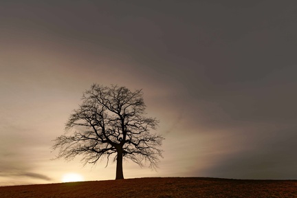 851 1780 DxO select 1802