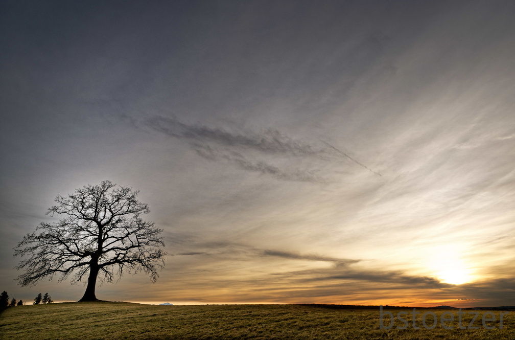 851 1784 DxO select 1804