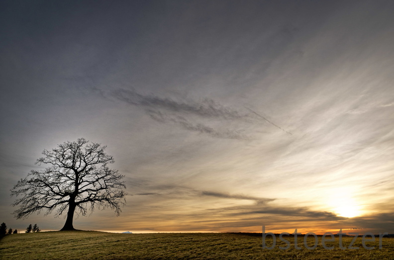 851 1784 DxO select 1804