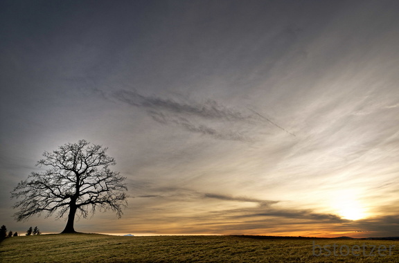 851 1784 DxO select 1804