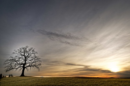 851 1784 DxO select 1804