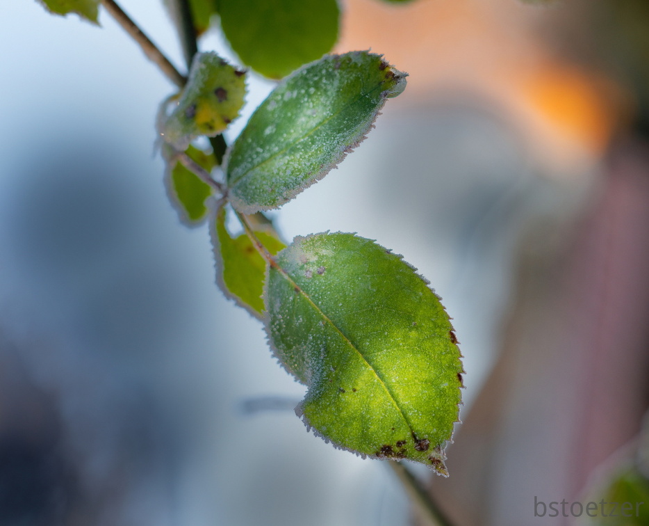 851 0073 DxO 509 1841