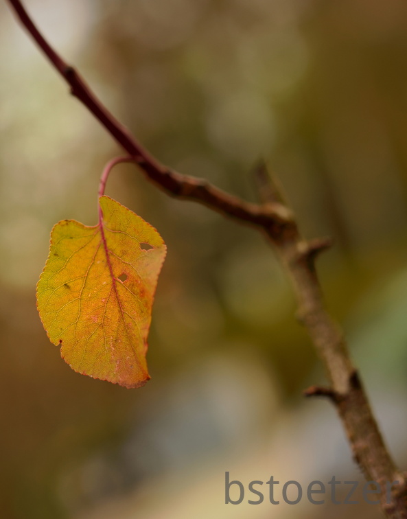 851 0156 DxO 525 1847