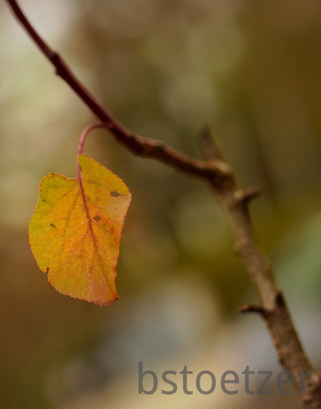 851 0156 DxO 525 1847