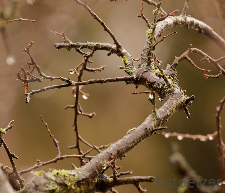 851 0367 DxO 540 1821