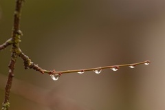 851 0432 DxO 536 1838