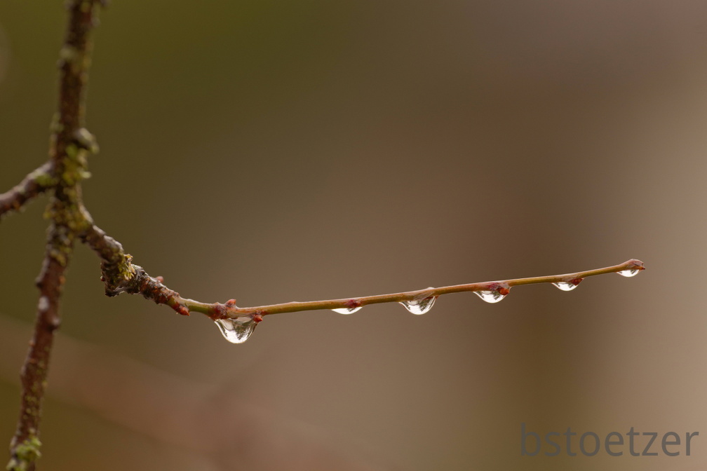 851 0432 DxO 536 1838