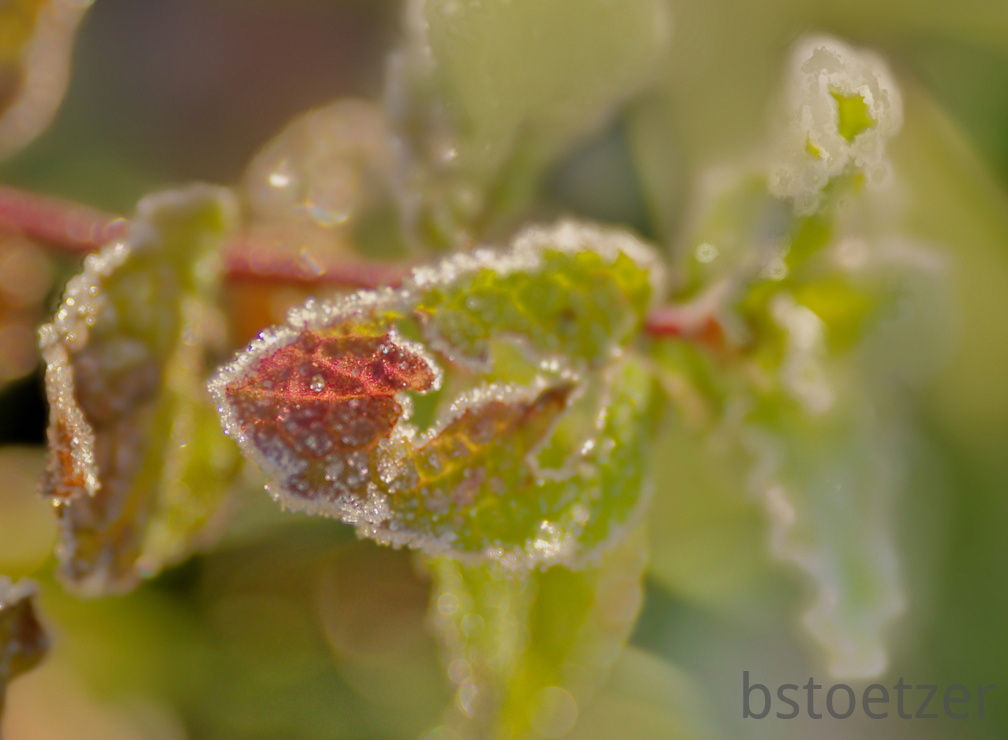 851 0719 DxO Web Schnitt-1 1362 1833