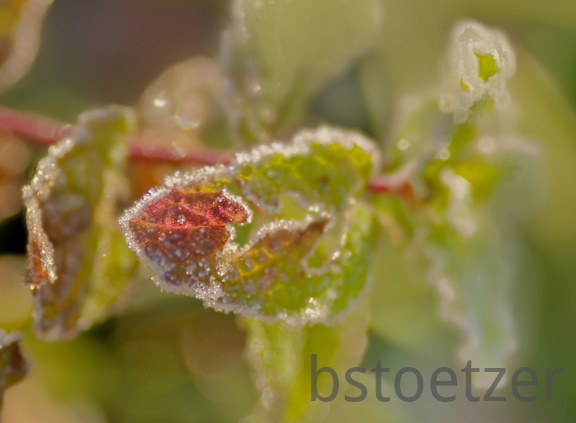 851 0719 DxO Web Schnitt-1 1362 1833