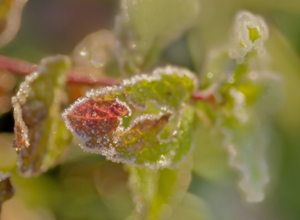 851 0719 DxO Web Schnitt-1 1362 1833