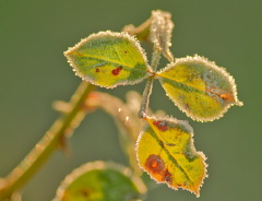 851 0727 DxO Web Schnitt-1 1363 1849