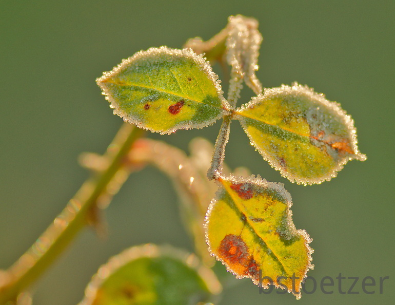 851 0727 DxO Web Schnitt-1 1363 1849