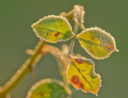 851 0727 DxO Web Schnitt-1 1363 1849