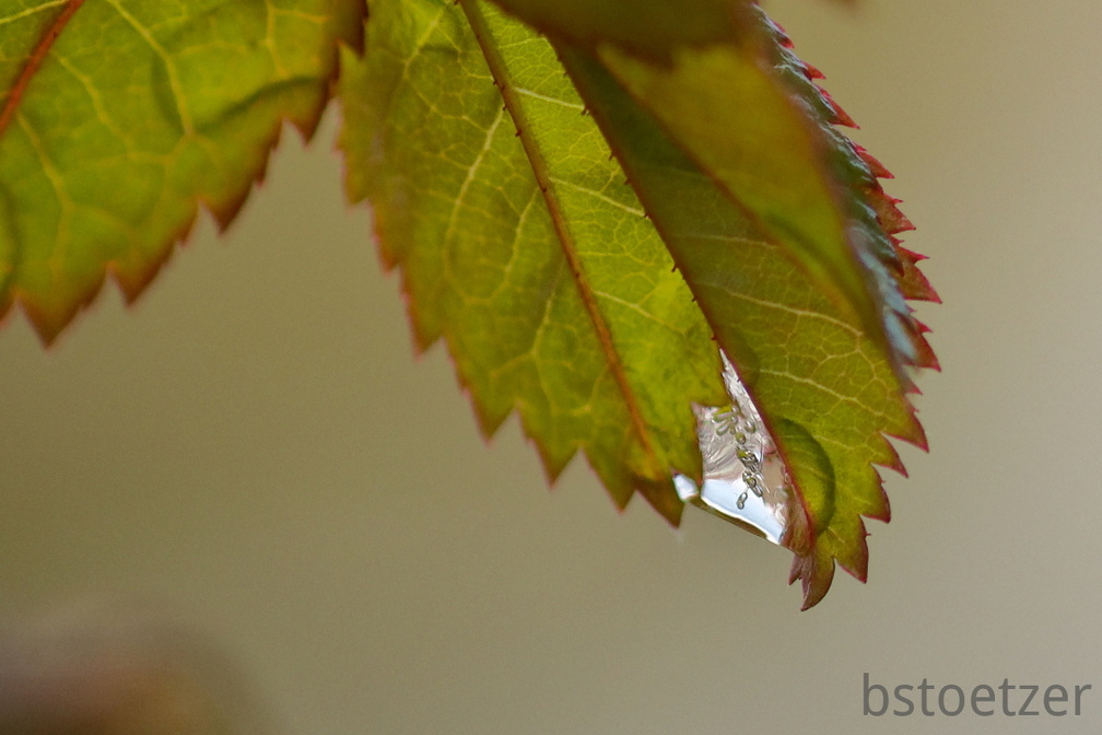 851 2670 DxO select 1825