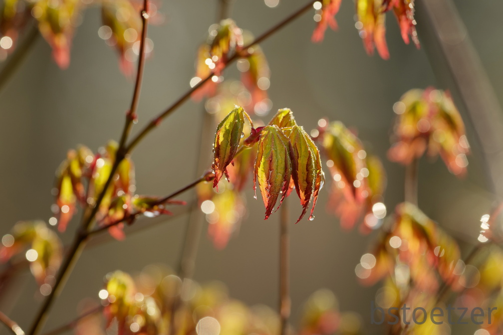 851 3726 DxO select 1830